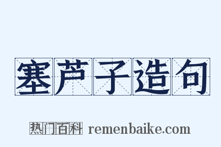 塞芦子造句是什么意思的图片